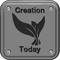 Creation Today